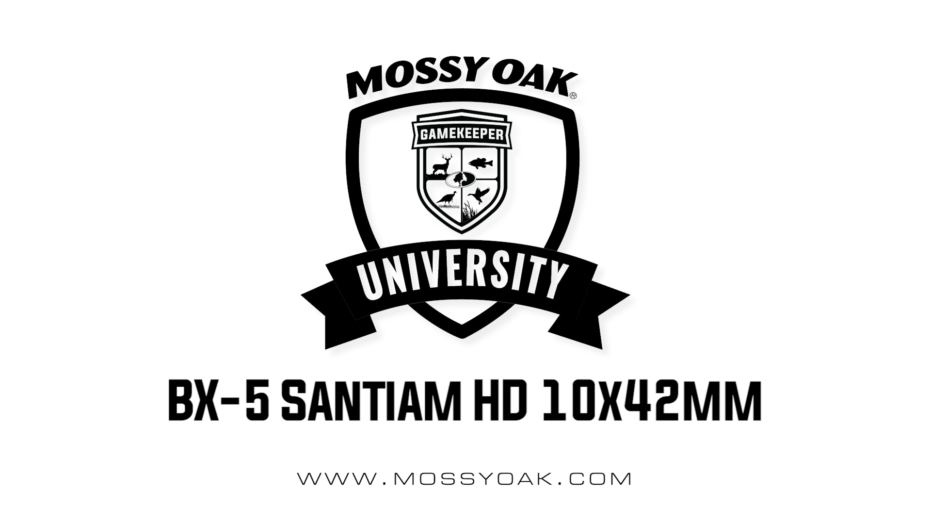 Leupold BX-5 Santiam HD 10x42mm