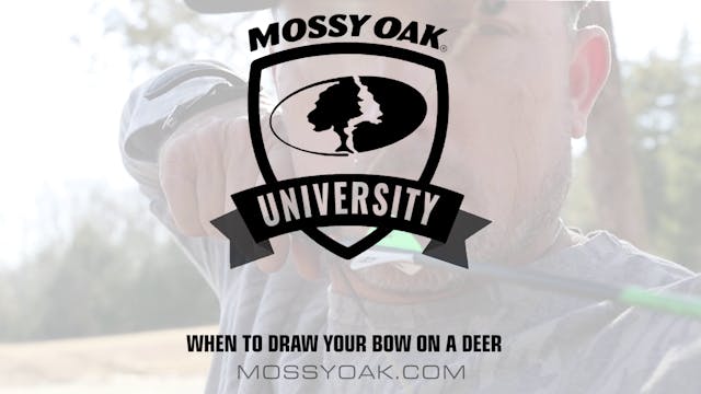 When to Pull Back on A Deer