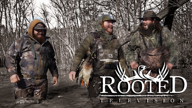 Soggy Bottom Boys • Rooted Television
