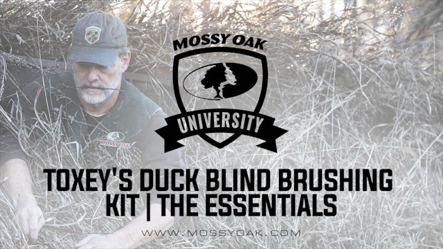 Toxey's Duck Blind Brushing Kit | The Essentials