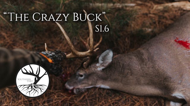 The Crazy Buck • Southern Dirt