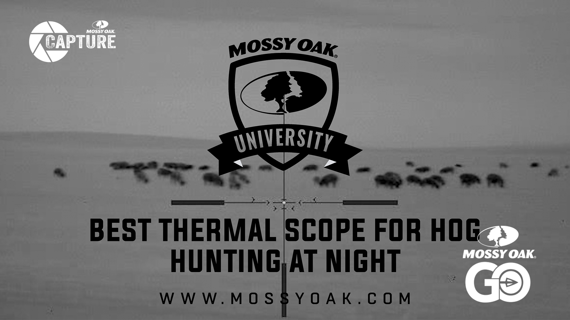 Best Scope For Hog Hunting With Thermal Night Vision.Mp4