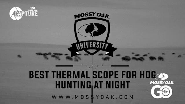 Best Scope For Hog Hunting With Therm...