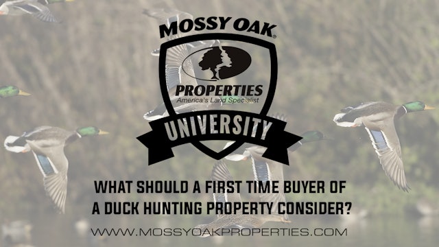 What Should A First Time Buyer Of Duck Hunting Property Consider?