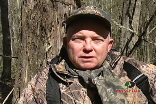 Responsible Timber Management • Alabama Whitetail and Turkey Hunts