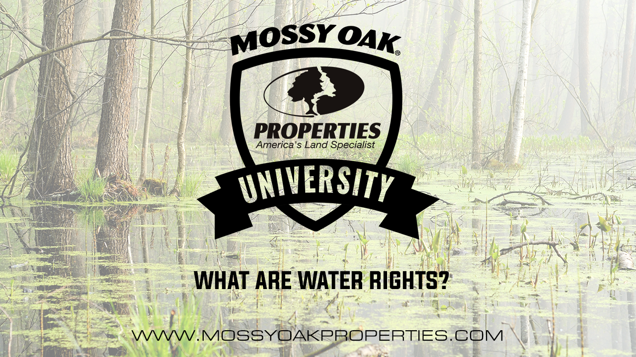 What Are Water Rights?