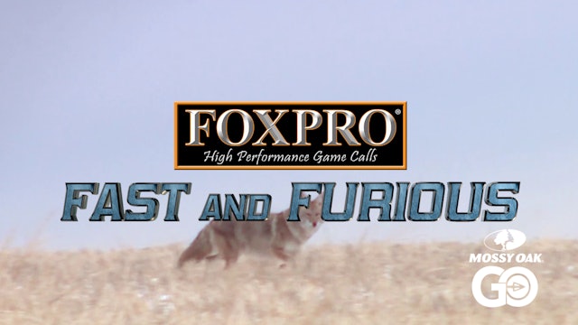 FOXPRO 1102 Alberta • Fast and Furious