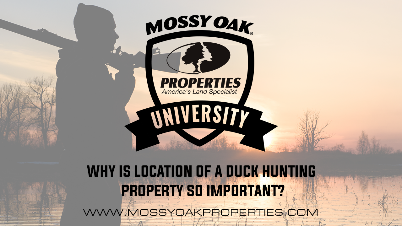 Why Is Location Of A Duck Hunting Property So Important?