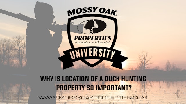 Why Is Location Of A Duck Hunting Property So Important?