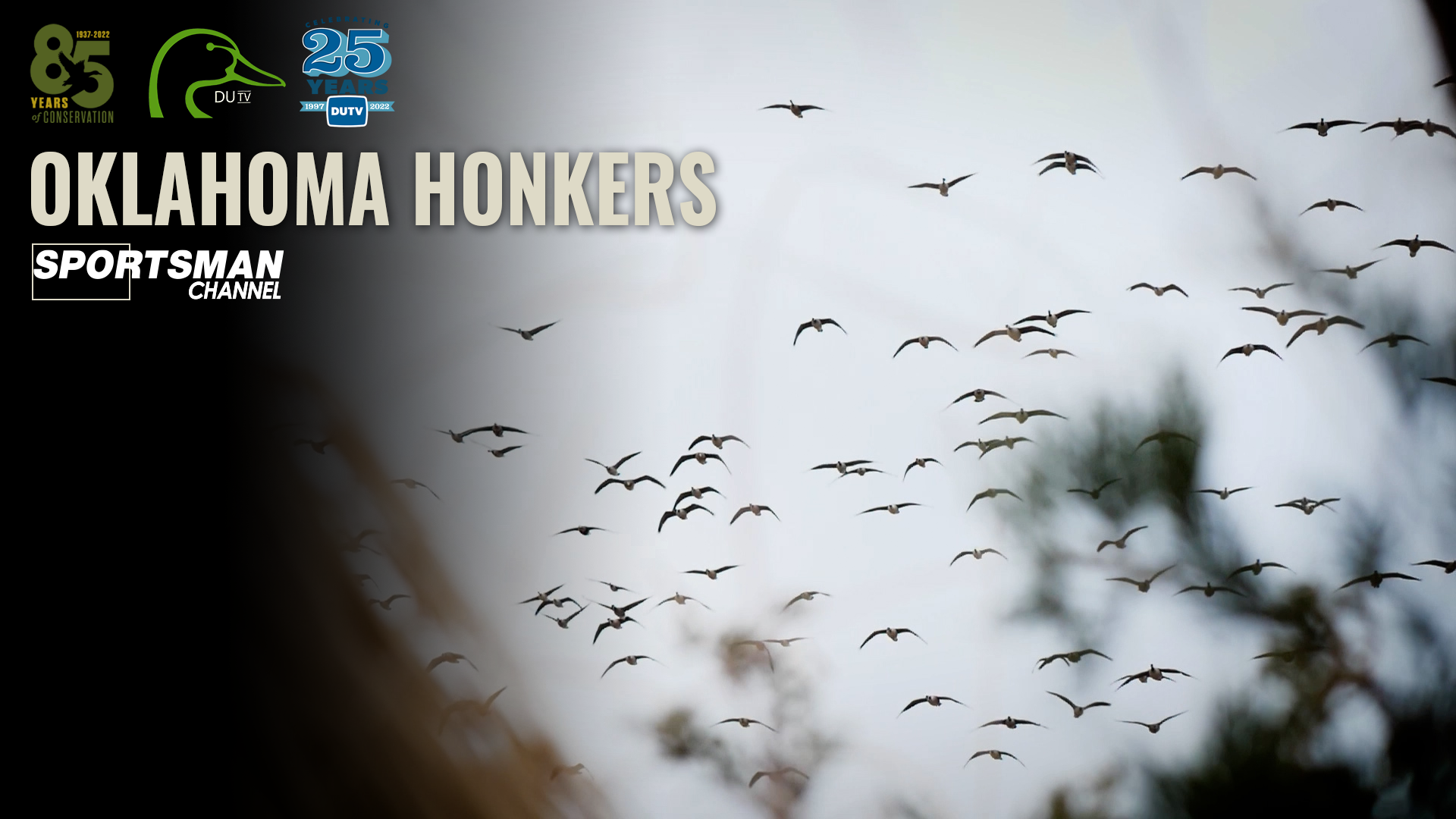 Oklahoma Honkers • DU TV