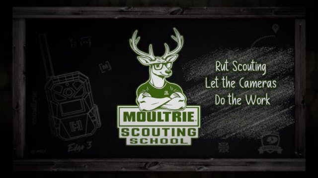 Rut Scouting • Let the Cameras Do the...