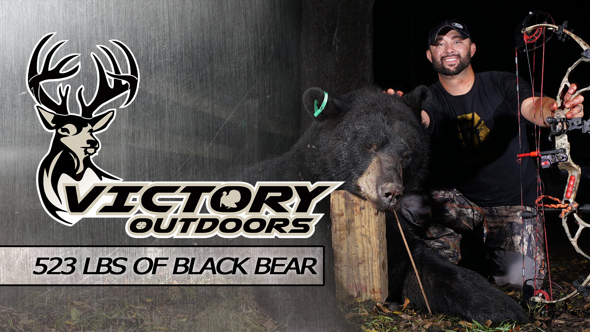 523lbs of Black Bear • Victory Outdoors