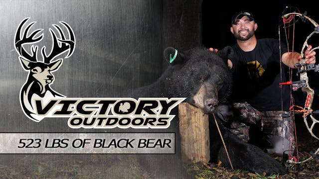 523lbs of Black Bear • Victory Outdoors