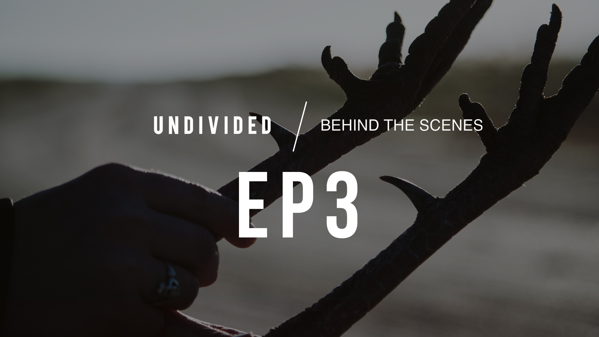 Episode 3 • The Recruits • Undivided Behind the Scenes
