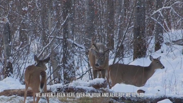 Glassing, Ranging, Scoping, Freezing • Whitetail in Canada