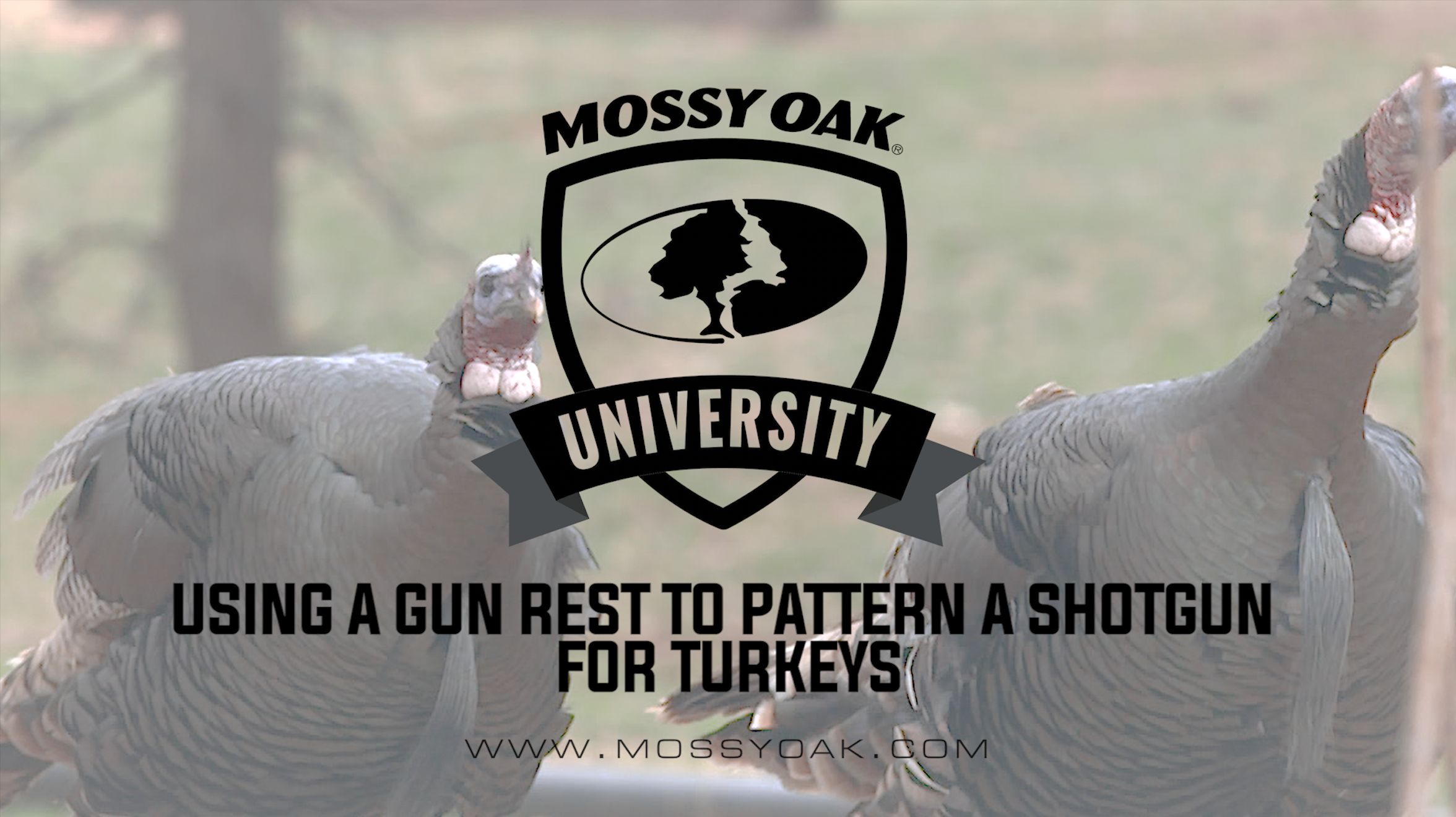 Using a Gun Rest to Pattern a Shotgun for Turkeys