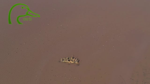 Texas Coast El Campo • DU TV