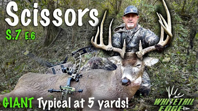 Scissors • Whitetail Edge