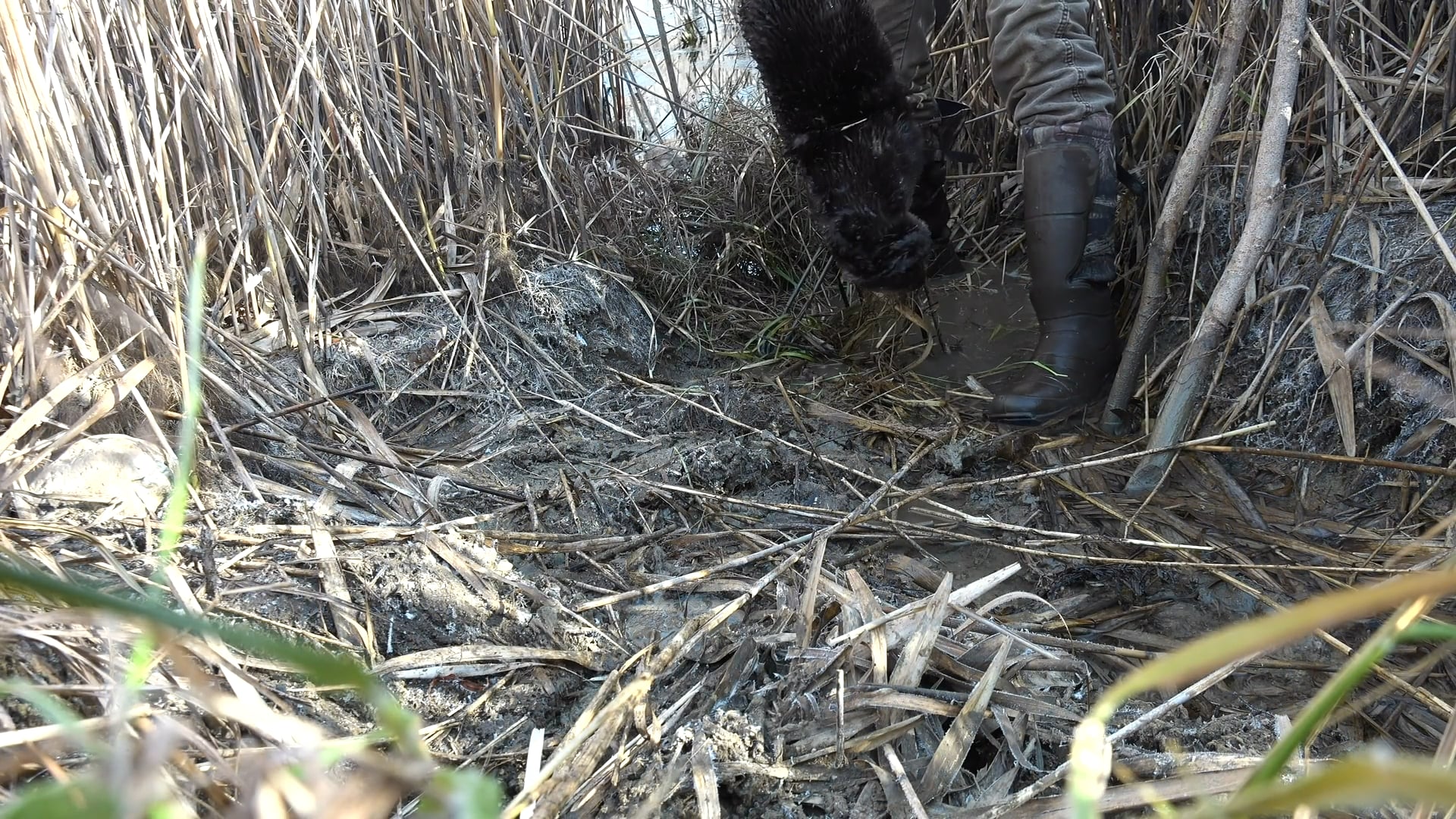 Man Cave Again • Tim Wells