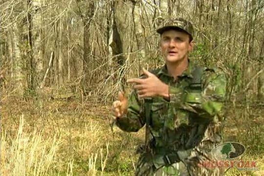 Best of Extreme Spring 123