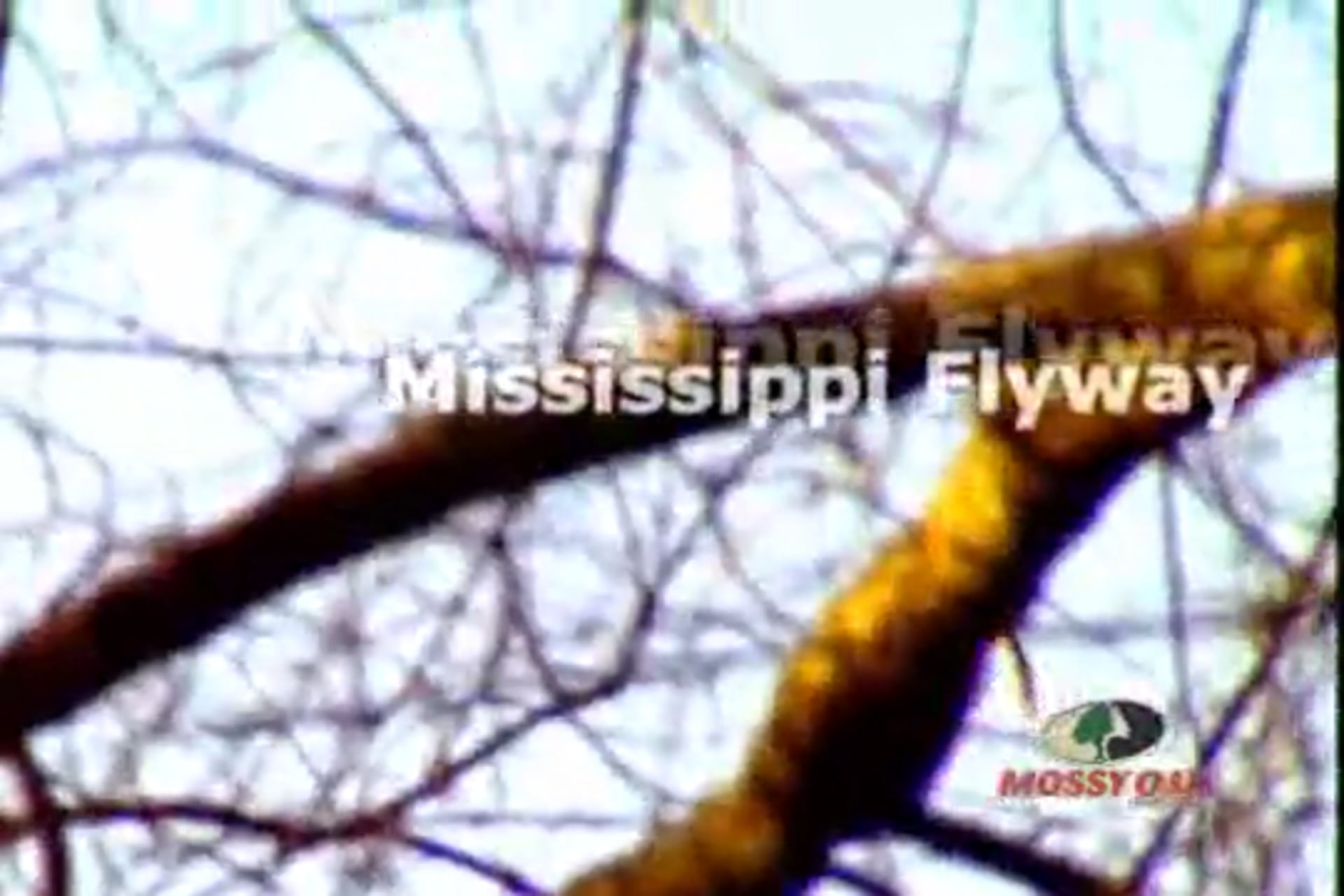 The Thrill is Gone • Will “The Thrill” Clark Duck Hunts the Mississippi Delta