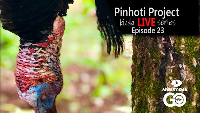 Kinda Live • Episode 23 • Pinhoti Project