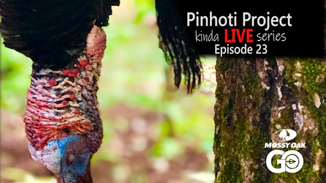 Kinda Live • Episode 23 • Pinhoti Pro...