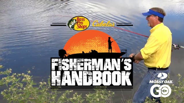 Bass From Top to Bottom • Fisherman's...