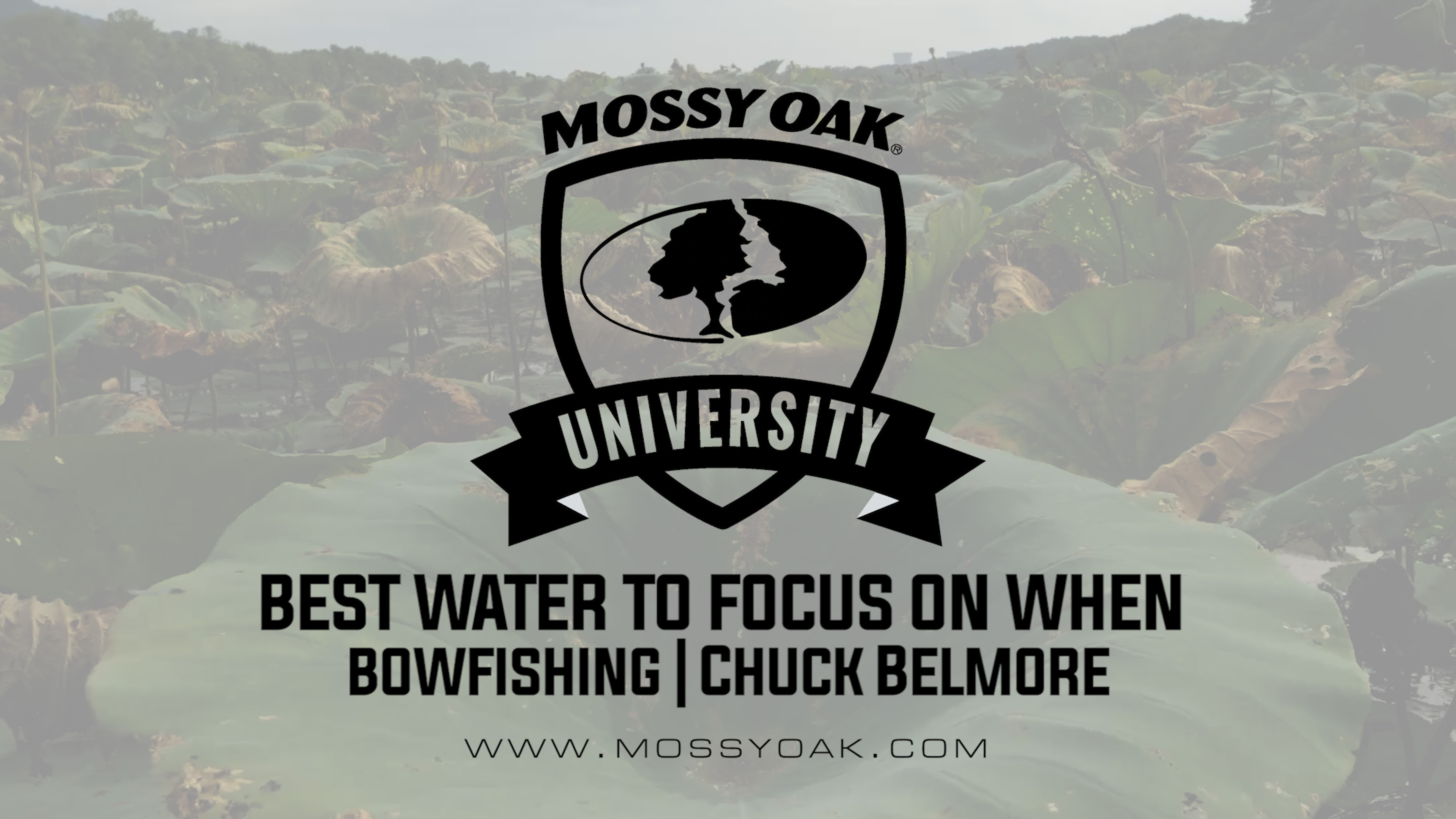 Best Water to Focus on When Bowfishing • Mossy Oak University