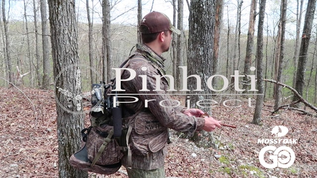 Hardwoods Hunting • Pinhoti Project Day 44