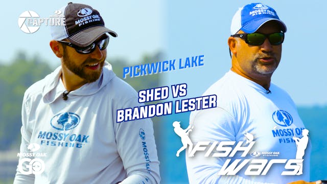 Fish Wars •  Pickwick Lake: Shed vs B...