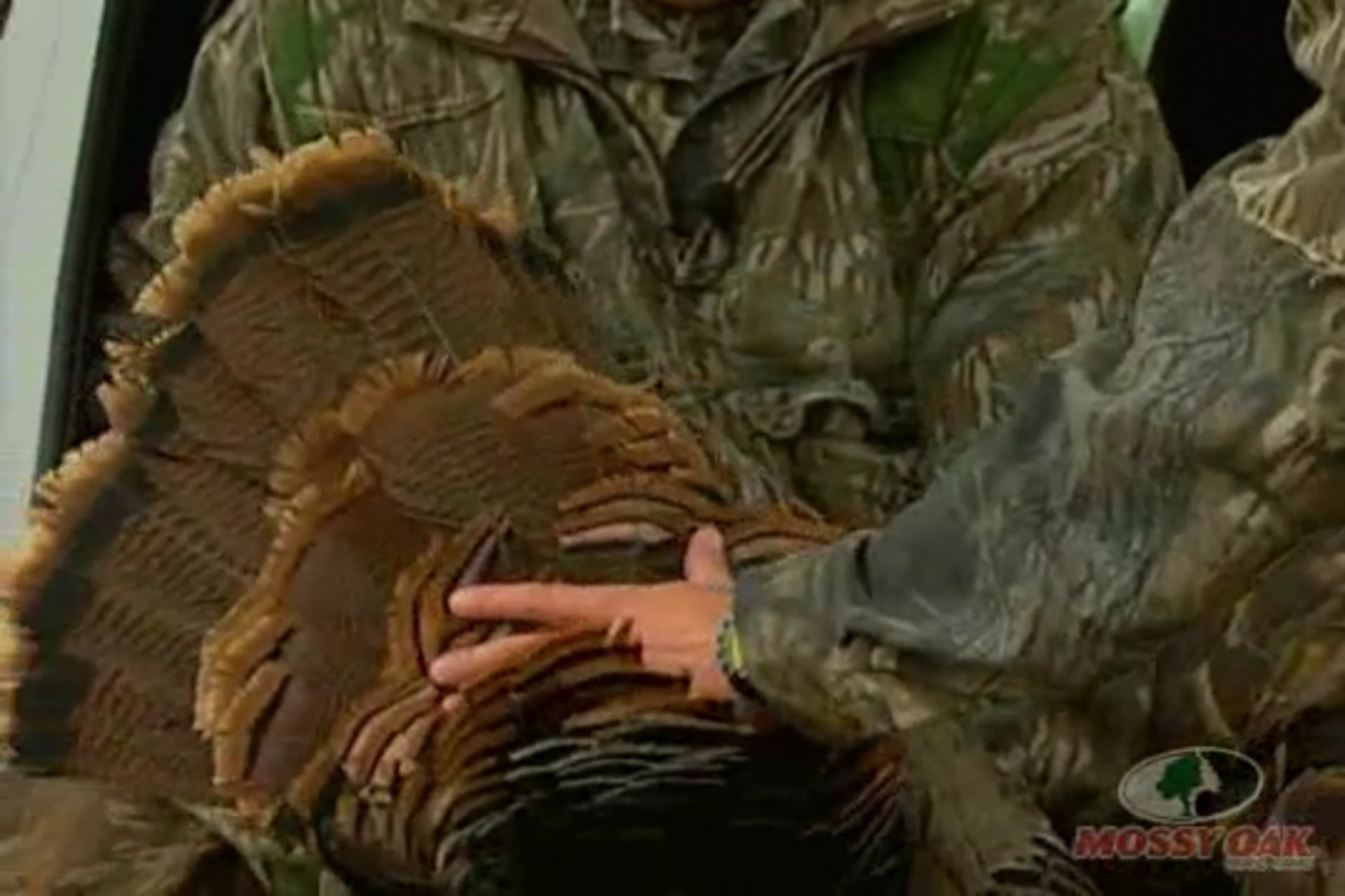 Letting the Hens Go By