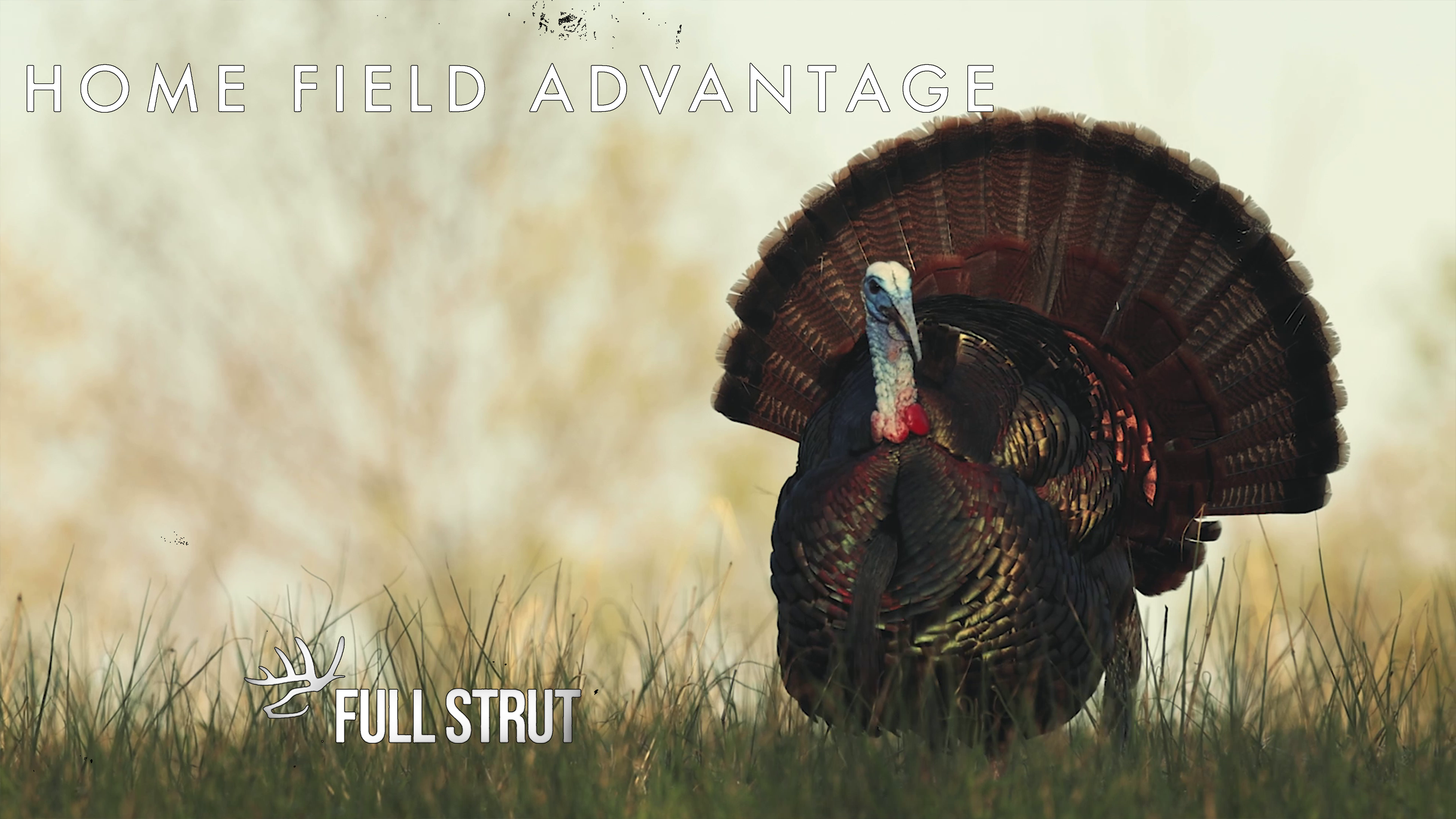 Full Strut • Episode 7 • Home Field Advantage
