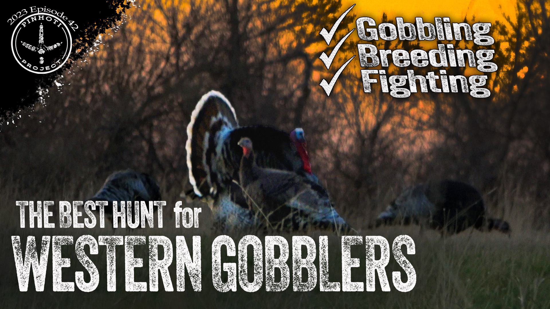 Pinhoti 2023 Ep 42 • Pinhoti Project