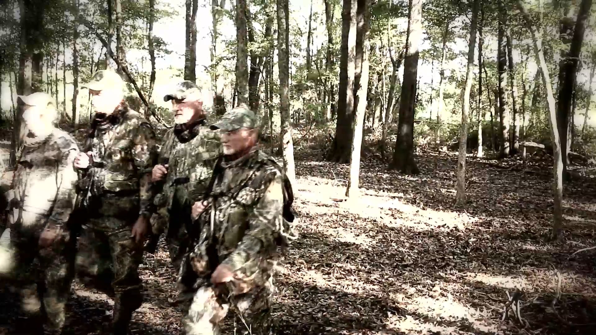 Spring Breeding • Turkey Hunting in Missouri