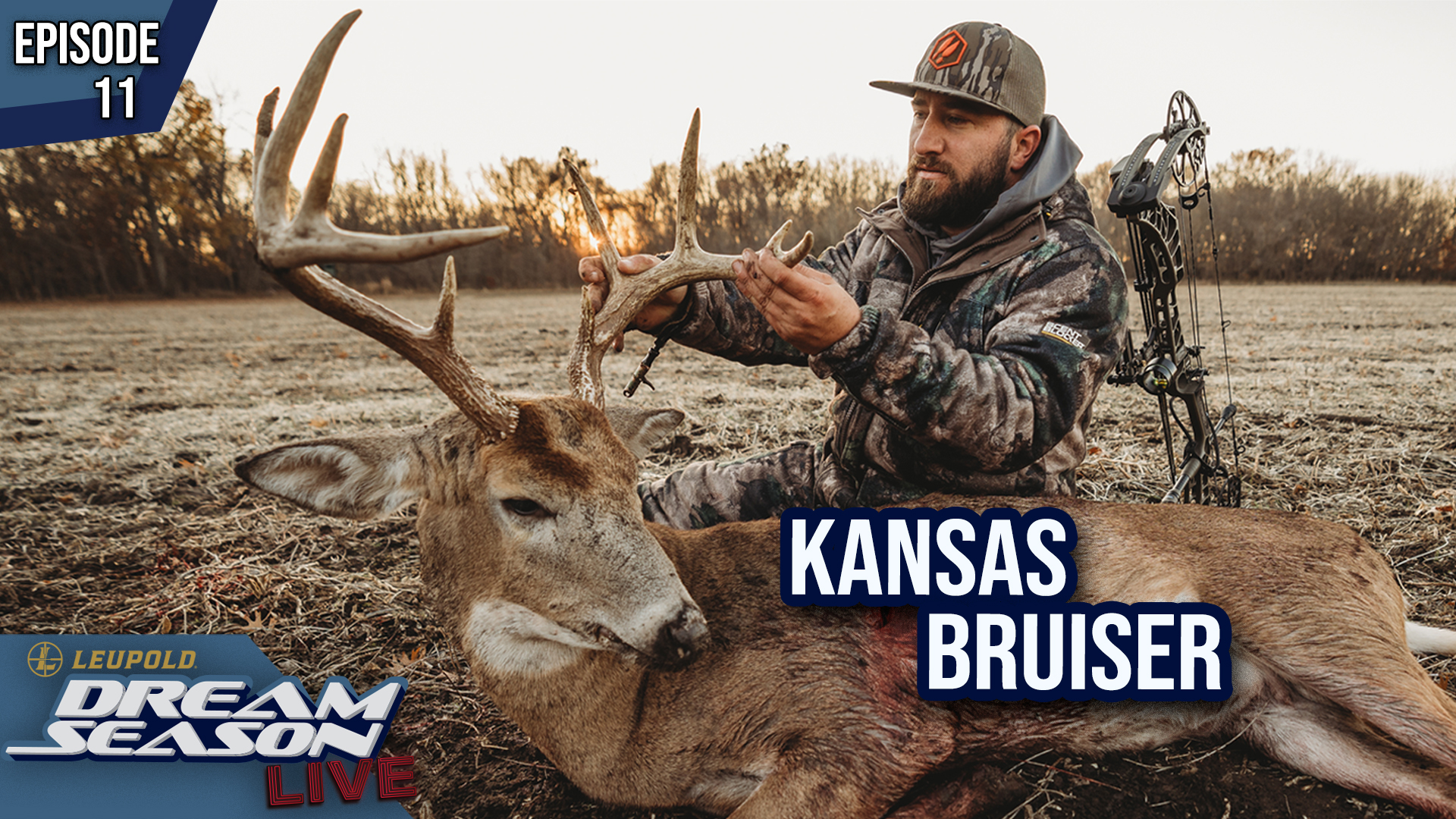 Kansas Bruiser • Dream Season Live