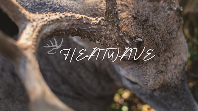 HeatWave • Heartland Bowhunter • Behind the Draw