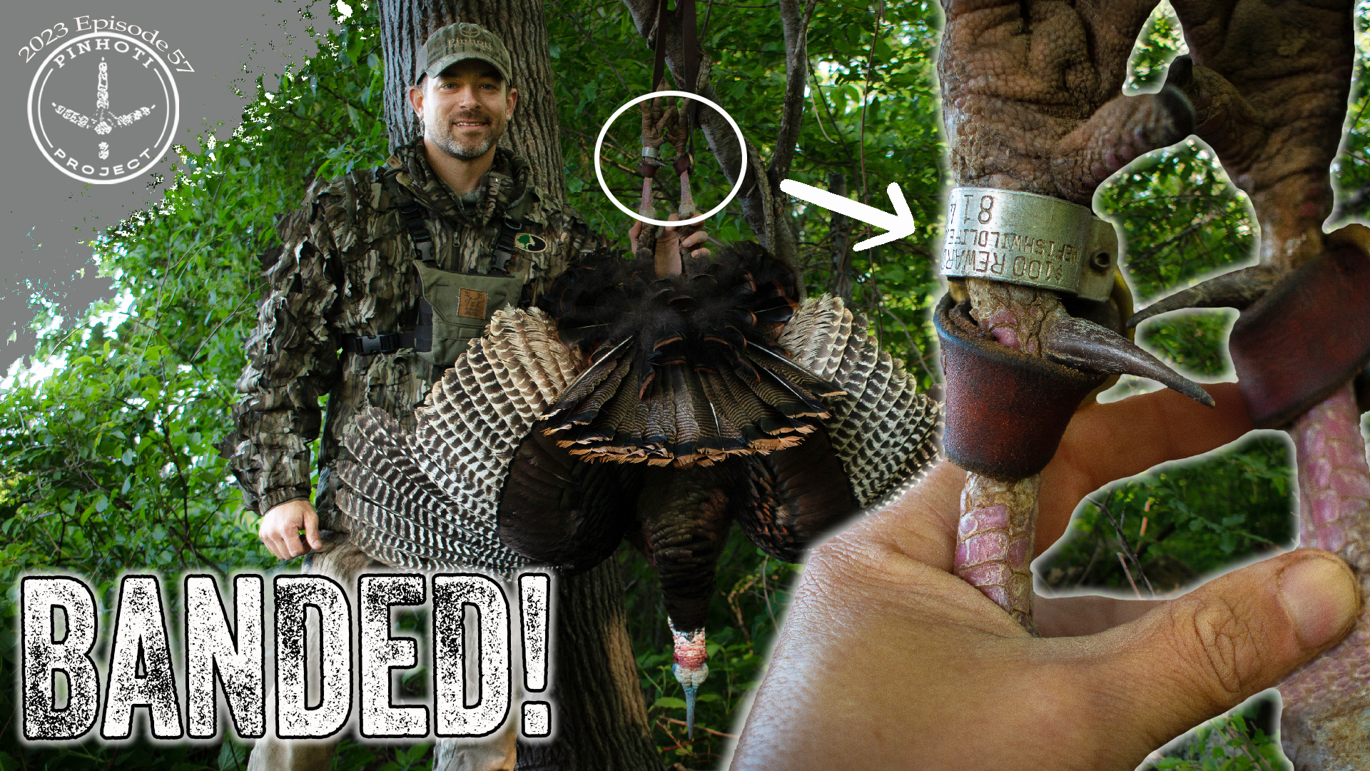 Pinhoti 2023 Ep 58 • Pinhoti Project