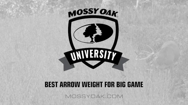 Best Arrow Weight for Big Game • Moss...