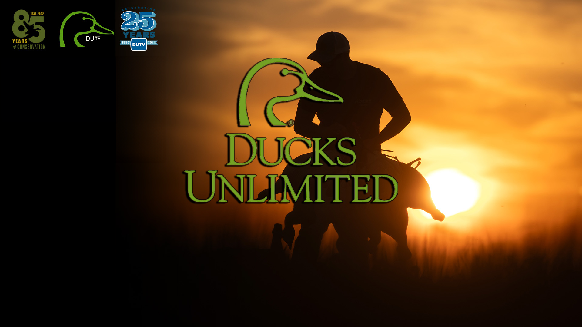 Ducks Unlimited