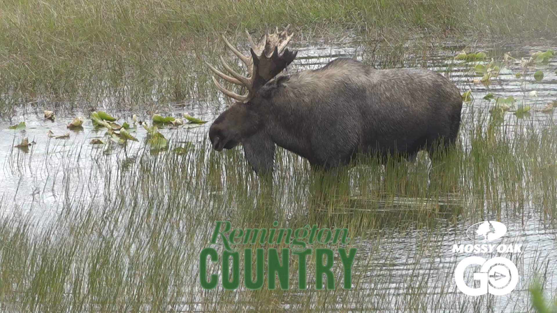 Pursuit of the Last Frontier II • Remington Country