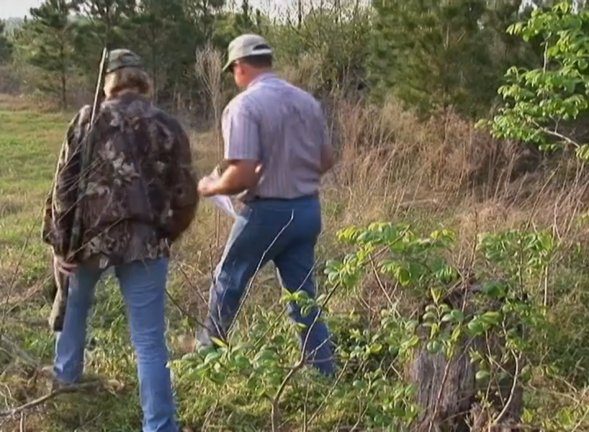 Green on the Vine • Turkeys in Alabama