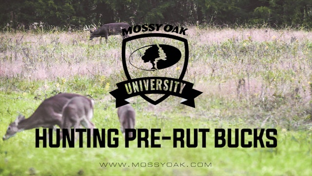 Hunting Pre-Rut Bucks | Stand Locations For Mature Whitetails