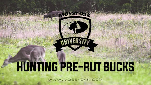 Hunting Pre-Rut Bucks | Stand Locatio...