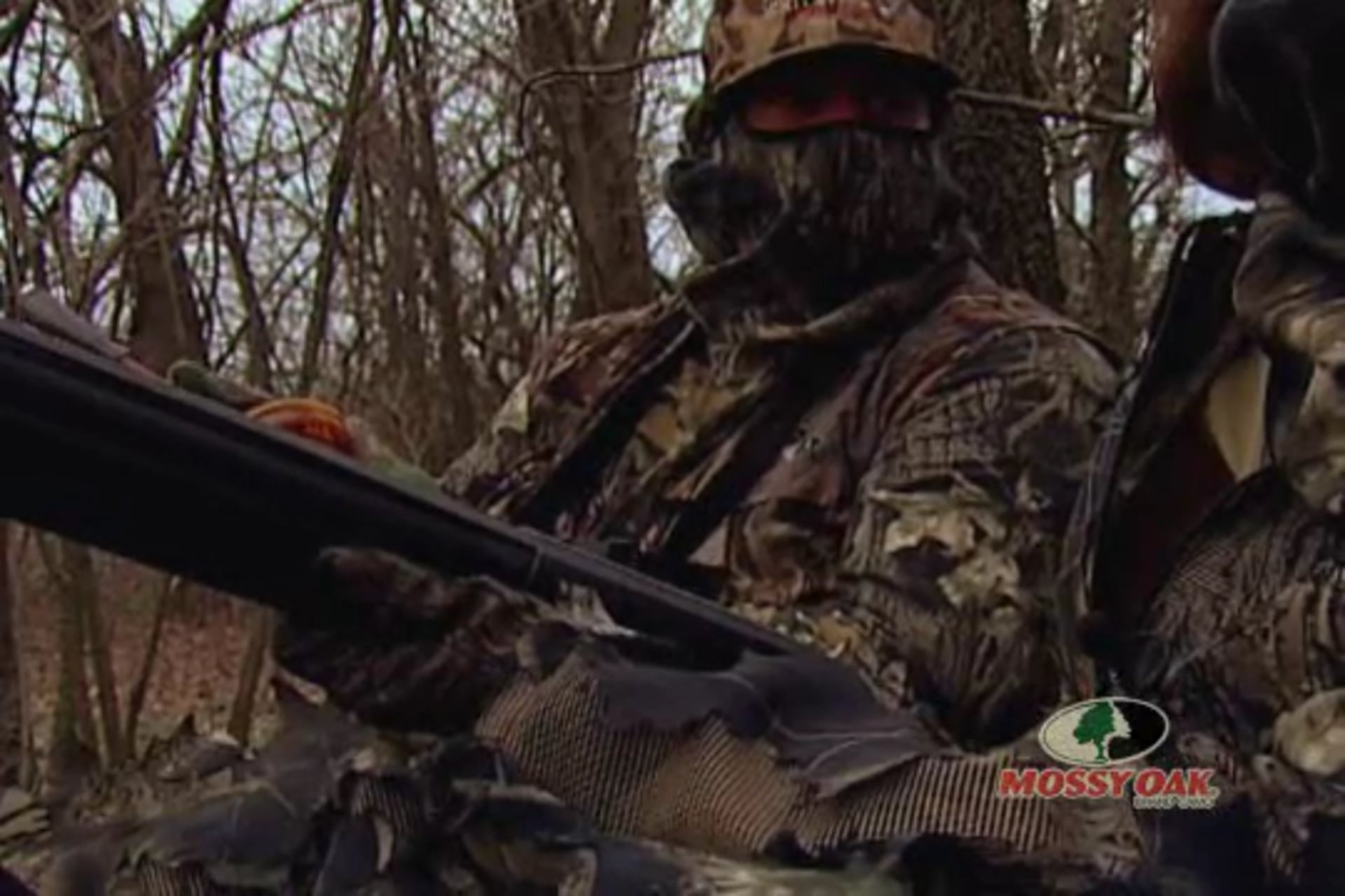 Kansas Wild Turkeys • Riverbottom Easterns Offer Excitement