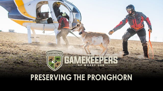 Preserving the Pronghorn • Gamekeepers