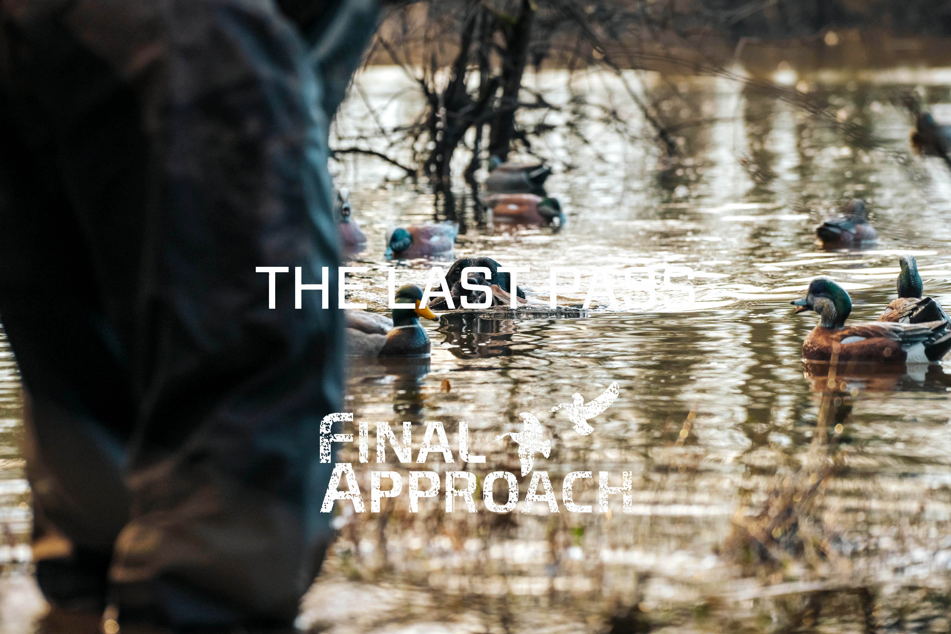 Last Pass Episode 6 • Wigeon In The Oregon Timber