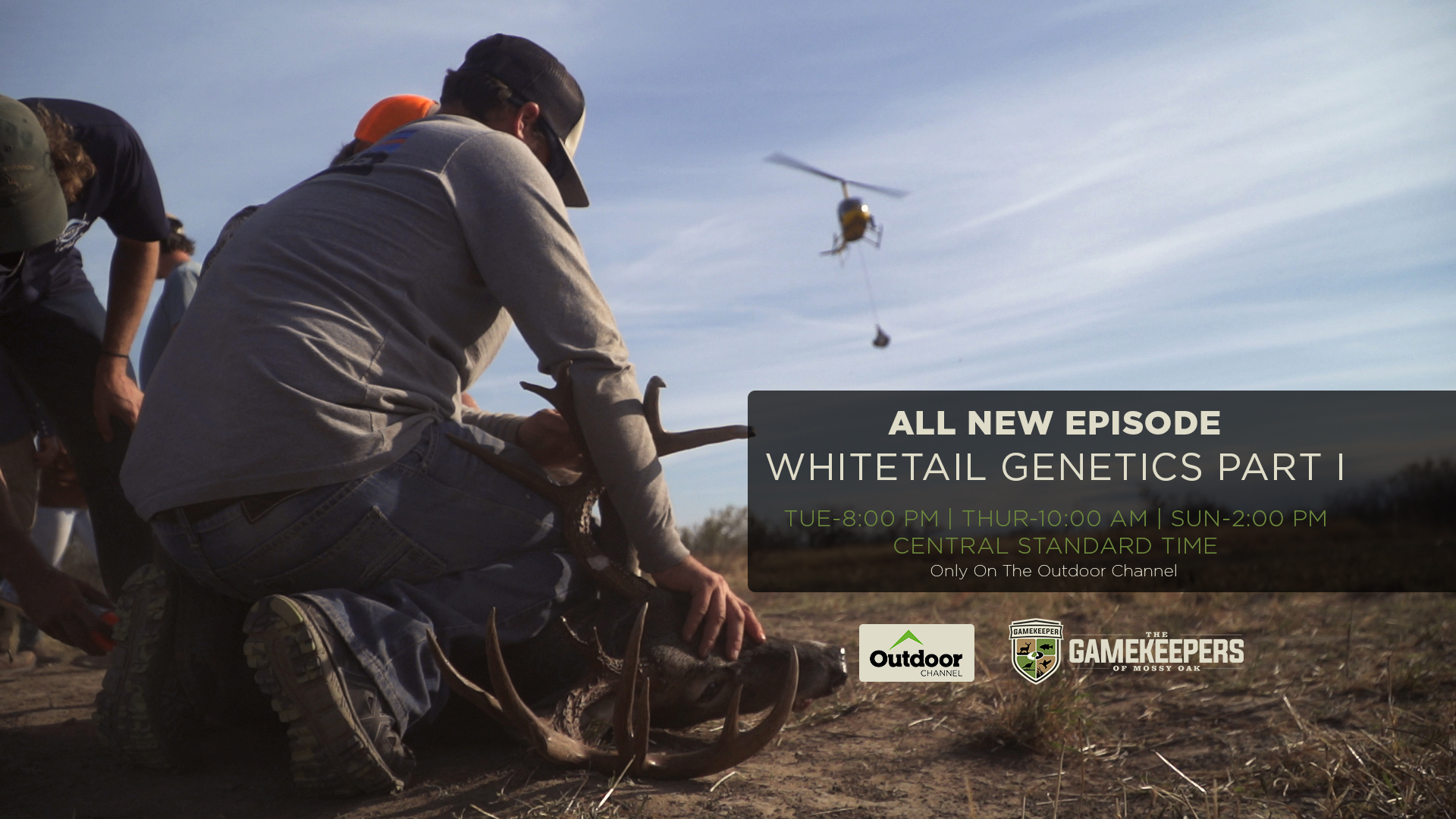 Whitetail Genetics Part I • Gamekeepers