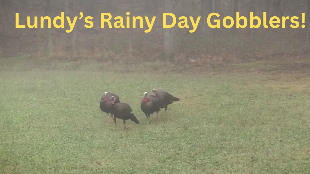 Rainy Day Gobblers • Stompin' Groundz