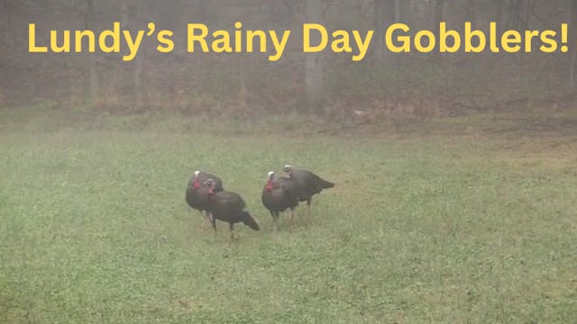 Rainy Day Gobblers • Stompin' Groundz